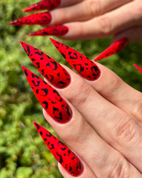 Animal print nails by happyclawsss
